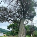 후산리 마을회관 이미지