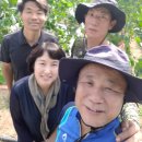 준태농장 이미지