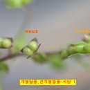 풀큰