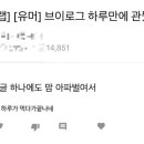 일.이.삼 칼국수 이미지