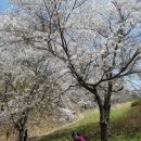 마이산청소년야영장 이미지