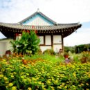 꽃과 한옥 이미지