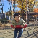 그린비 | 부천 그린비 브레인 어린이집 후기 장점