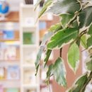 정빈의원 이미지