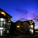 백운면 2049 이미지