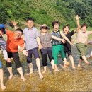 진안고원치유의숲 이미지