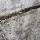 현대항균세탁 이미지