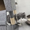 고양이 미용실 방울선생 네이버블로그