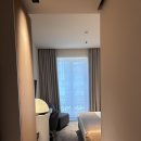 OPO | [여자 혼자 벨기에 여행] 브뤼셀 OPO 호텔 후기 (그랑플라스 근처 안전한 숙소 추천)