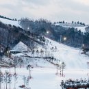 (주)노블레스렌터카 이미지