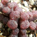 사랑지기 이미지