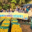 거제시농업기술센터 이미지