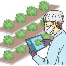 임용길농장 이미지