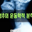 GYM502 이미지