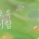 피르화실