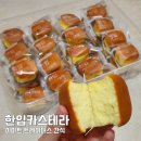 월계역 4번출구 | 월계 이마트 트레이더스 이용 한입카스테라 간식 추천 후기