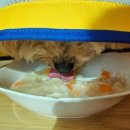 베이시티 동물병원 이미지