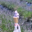 황토현권역 녹두랑시루랑마을 이미지