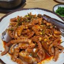 땅끝뻘낙지 이미지