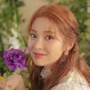 예빈플라워
