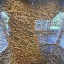 봉황대공원(주차장입구) 이미지