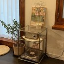 스테이 오무개 이미지