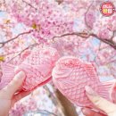 벚꽃붕어빵