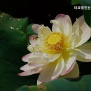 의료법인 산수의료재단 네이버블로그