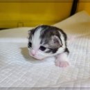 경기도 수원시 권선구 세지로82번길 3 (권선동) 이미지