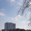 진천길약국 네이버블로그