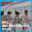 덴탈 푸르고 이미지