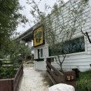 소띠비한우농장 | 비오는날 강릉 아이랑 가기 좋은 대관령아기동물농장 체험