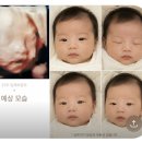 819 | [임산부일기 #9] 임신 24주 6일! 입체 초음파 &amp; 임당 검사 후기 (bpm 144, 무게 819g)