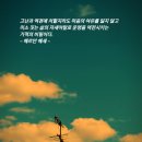 서울대학교미술관 이미지