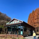 화인애견 | 충북 가을 여행지 옥천 가볼만한 곳 애견동반 가능 화인산림욕장