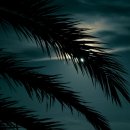 싱잉볼힐링명상 이미지