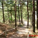 신안(여) 이미지