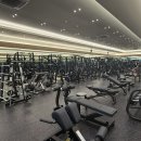 시그널짐 플레티넘 | 양주헬스장 pt 추천 ) 2026년 1월 1일 다녀온 시그널짐 플래티넘 후기