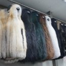 진성코퍼레이션 이미지