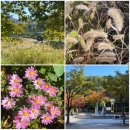 양천고등학교 | 양천둘레길 걷기 - 안양천, 갈산(신정산을 곁들인)