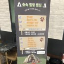 더블유카페 - 수성구 화랑로 58 | [당진카페]당진 오프리쉬 애견동반카페 추천 산책로가 예쁜 '더블유' 후기