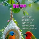 정성의료기상사 Daum카페