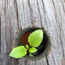 영목수산좌대 이미지