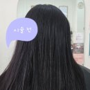 나비헤어라인