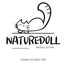 자연돌스(naturedoll) 이미지