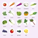 수야채