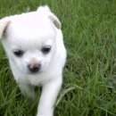 꽃뜰펜션 이미지