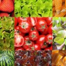 청년모종 이미지