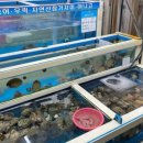 퐁당온수풀엔스파 이미지