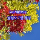 충렬사역 2번출구 | 1381.충렬사 가을풍경/부산 충렬사/부산여행/국내여행/부산 가볼만한곳